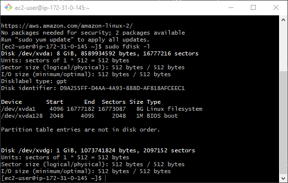 fdisk showing the volumes attched to instance